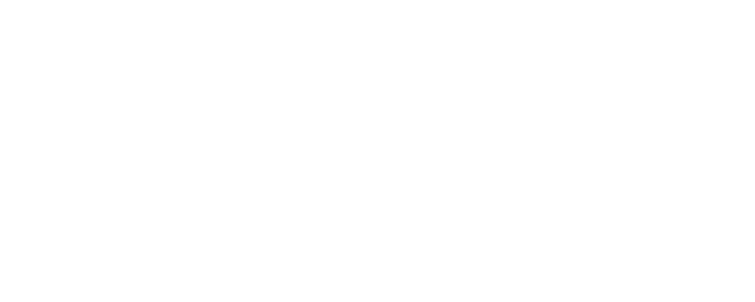 DI-SEP SX Logo